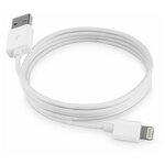 Кабель USB - Lightning MD818ZM/A, MQUE2ZM/A (100 см) белый - изображение