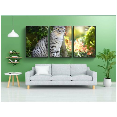 фото Набор модулных постеров для интерьера "кот, бабочка, домашняя кошка" 60x90 см. в тубусе, без рамки lotsprints