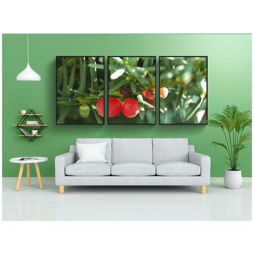 фото Набор модулных постеров для интерьера "тис, ягода, хвойное дерево" 60x90 см. в тубусе, без рамки lotsprints