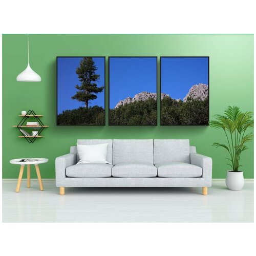 фото Набор модулных постеров для интерьера "челюсть, хвойное дерево, дерево" 60x90 см. в тубусе, без рамки lotsprints