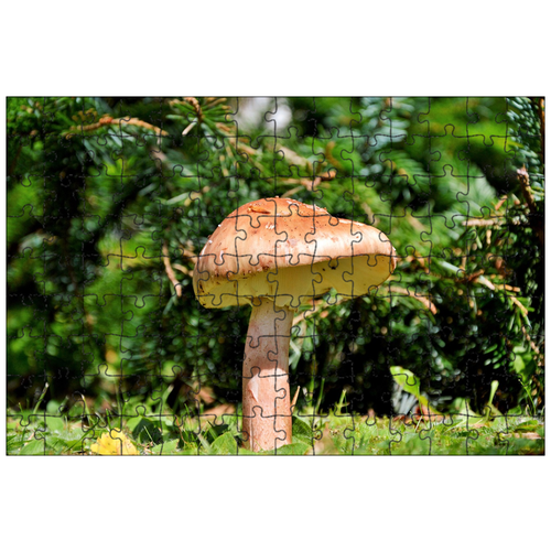 фото Магнитный пазл 27x18см."гриб, диск грибок, лес" на холодильник lotsprints
