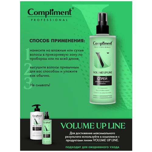 PROFESSIONAL VOLUME UP LINE спрей для прикорневого объема, 250мл сыворотка для укладки волос compliment professional volume up line спрей для прикорневого объема