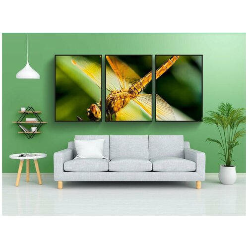 фото Набор модулных постеров для интерьера "стрекоза, насекомое, закрывать" 60x90 см. в тубусе, без рамки lotsprints