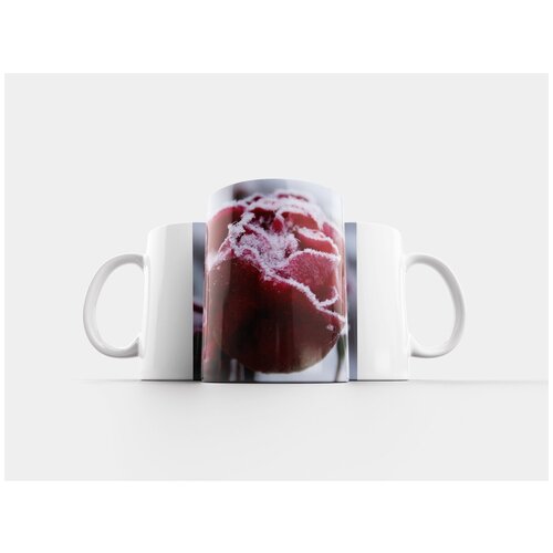 фото Кружка "роза, зима, природа" 320 мл lotsprints