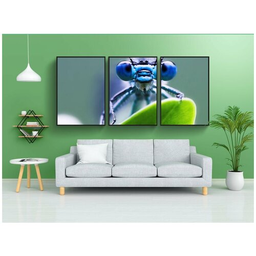 фото Набор модулных постеров для интерьера "стрекоза, зеленый, синий" 60x90 см. в тубусе, без рамки lotsprints