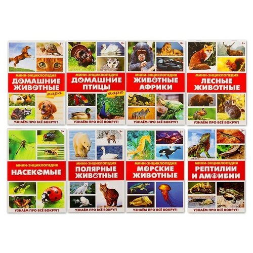 фото Буква-ленд мини-энциклопедии «мир животных» (набор 8 шт)