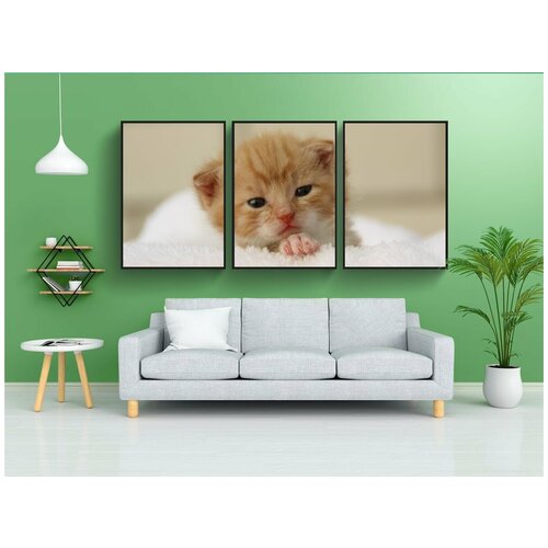 фото Набор модулных постеров для интерьера "кот, щенок, молодой кот" 60x90 см. в тубусе, без рамки lotsprints