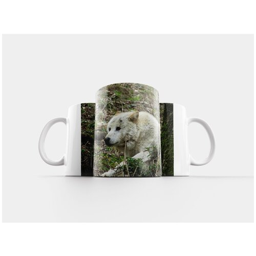 фото Кружка "волк, зоопарк, дикое животное" 320 мл lotsprints