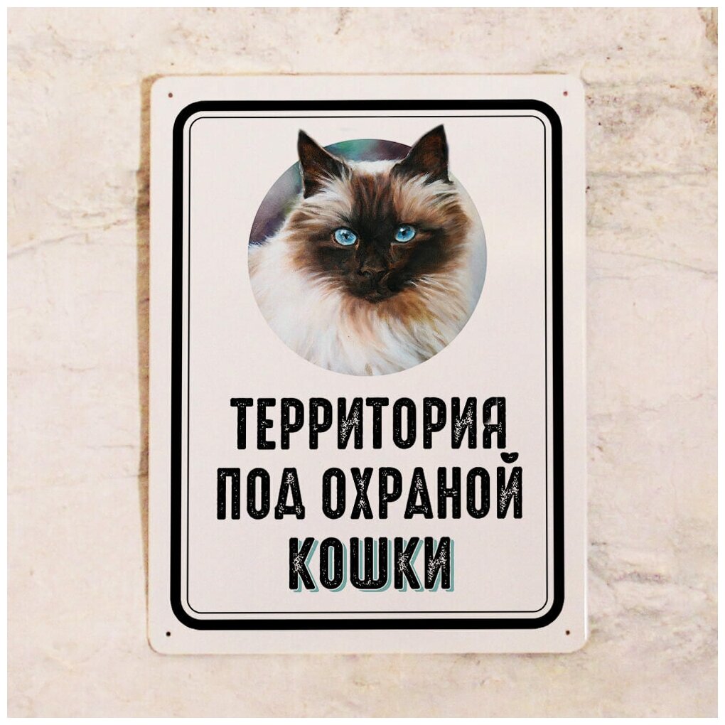 Металлическая табличка на забор Территория под охраной невской маскарадной кошки , идея подарка кошатнику , металл, 20х30 см