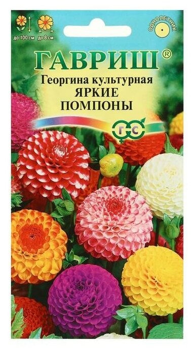 Семена цветов Георгина Яркие помпоны, 0,2 г 3 шт