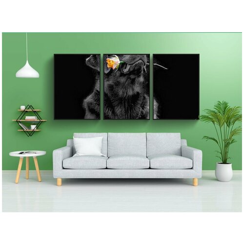 фото Набор модулных постеров для интерьера "собака, цветок, лабрадор" 60x90 см. в тубусе, без рамки lotsprints