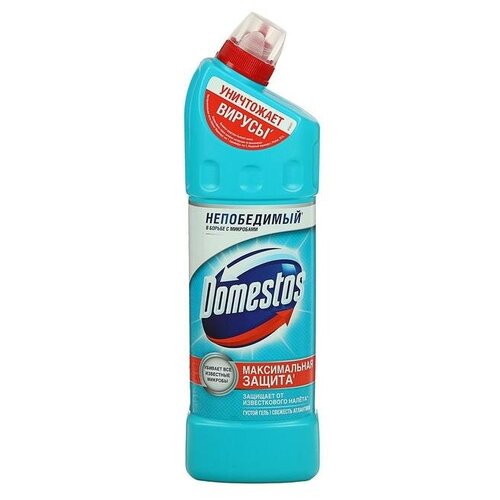 Чистящее средство Domestos 