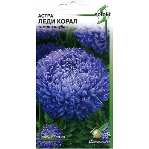Астра Леди Корал темно-голубая, 35 семян