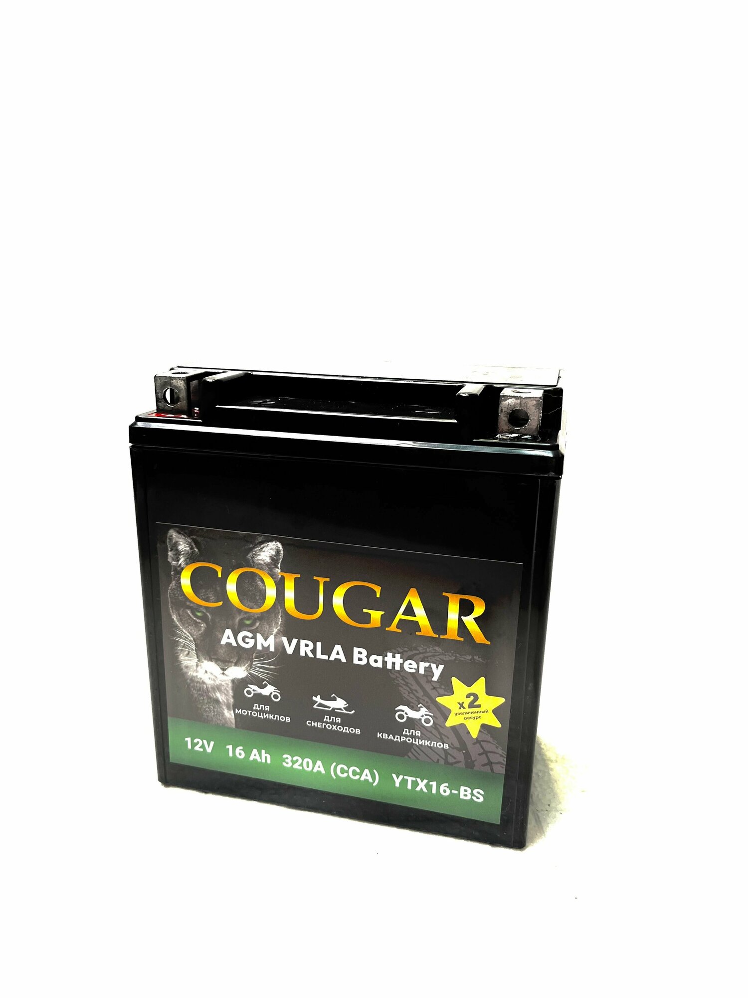 Мото аккумулятор COUGAR 16Ач L+ ССА 250А 150х87х161 YTX16-BS