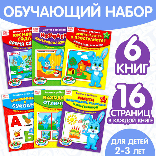 Обучающие книги «Полный годовой курс. Серия от 2 до 3 лет», 6 книг по 16 стр, в папке обучающие книги полный годовой курс серия от 2 до 3 лет 6 книг по 16 стр в папке