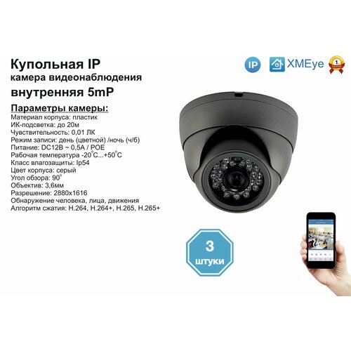 (3шт) DVS300IP5MP(POE). Внутренняя IP камера 5мП с ИК до 20м.