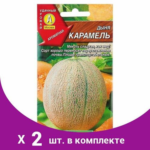 Семена Дыня 'Карамель', 1 г (2 шт)