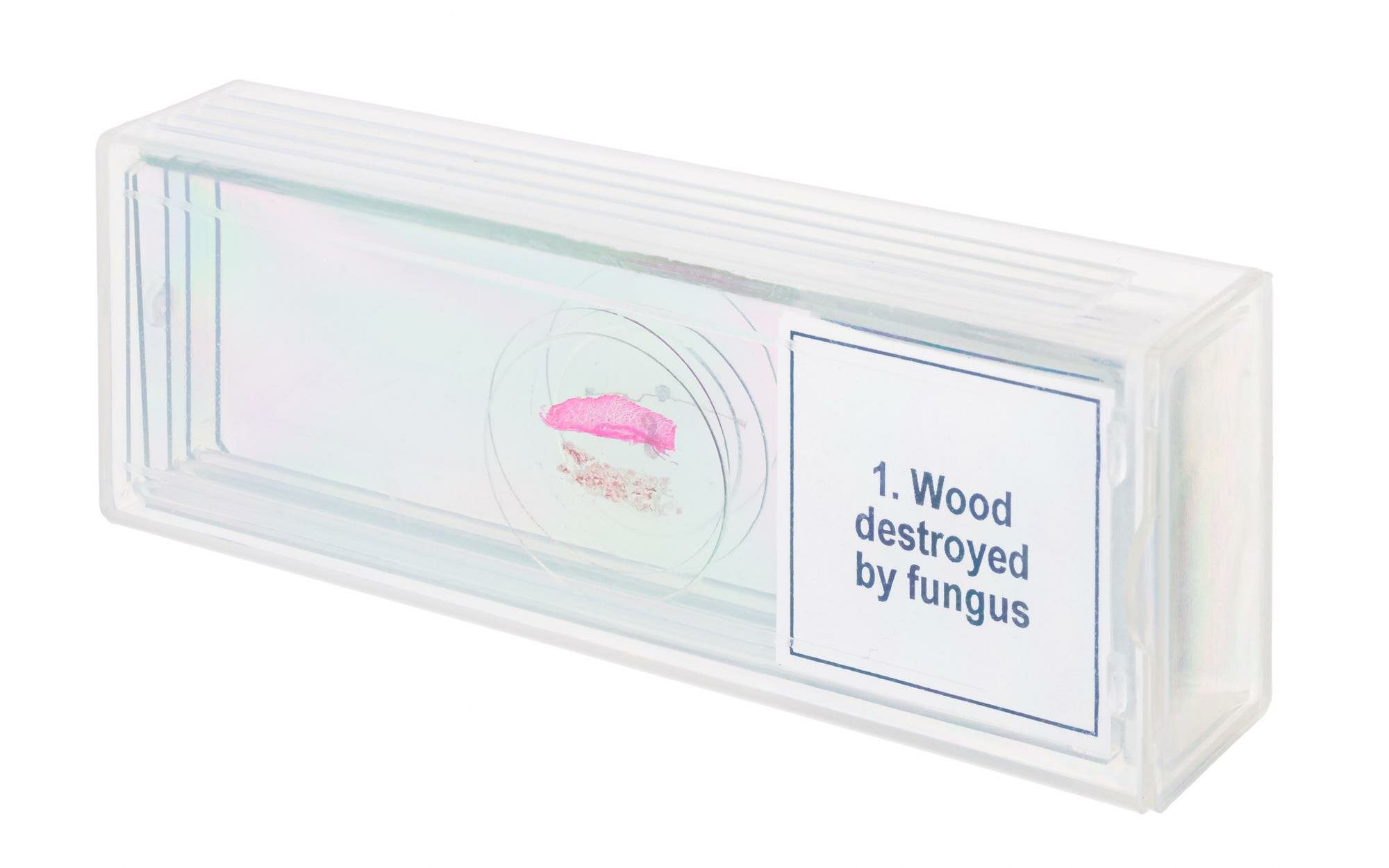 Набор Микропрепаратов Discovery Prof Dps 5. "мутации" — фото 1