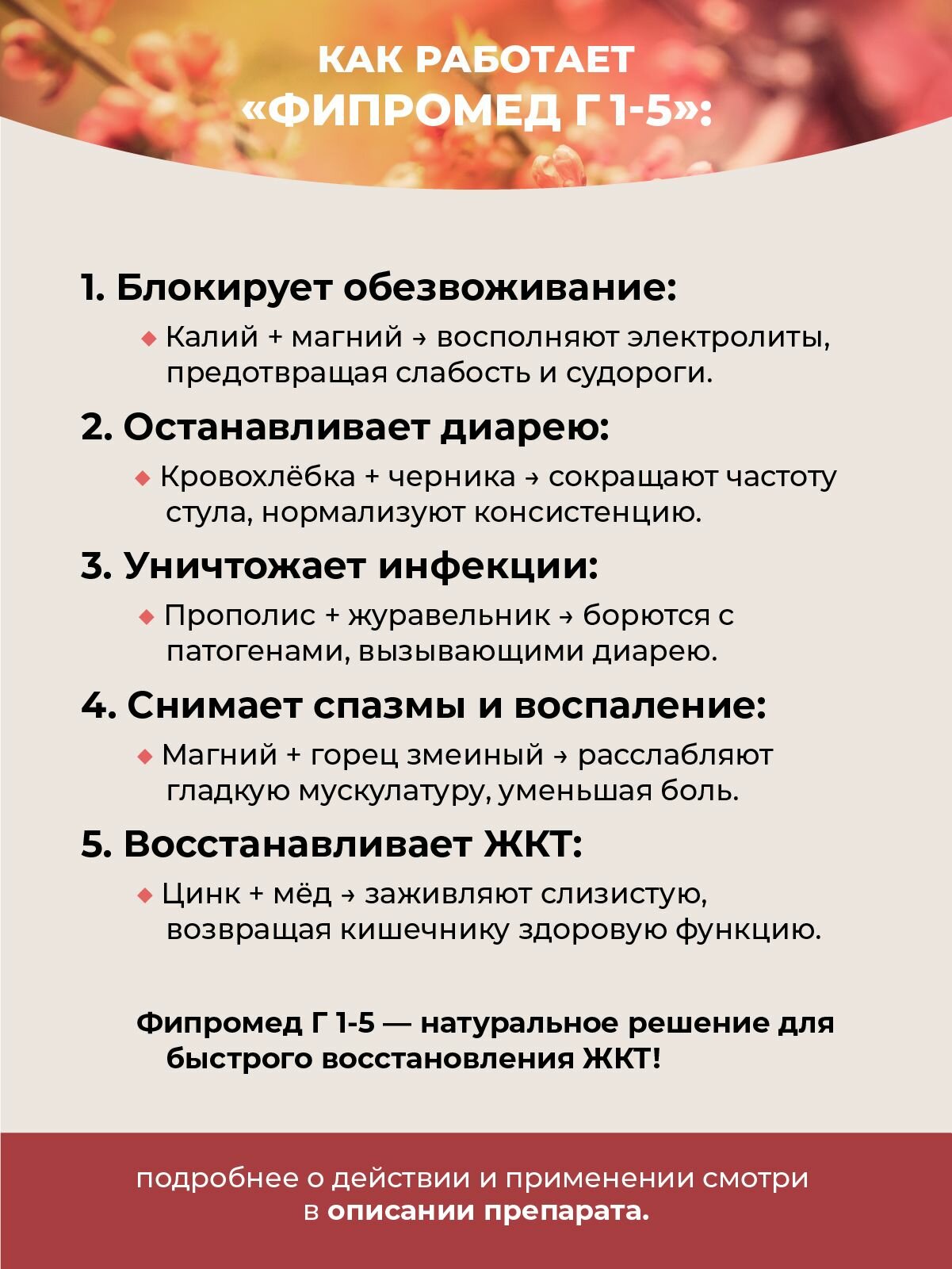 Изображение Фипромед Г1-5 Понос, 50 мл