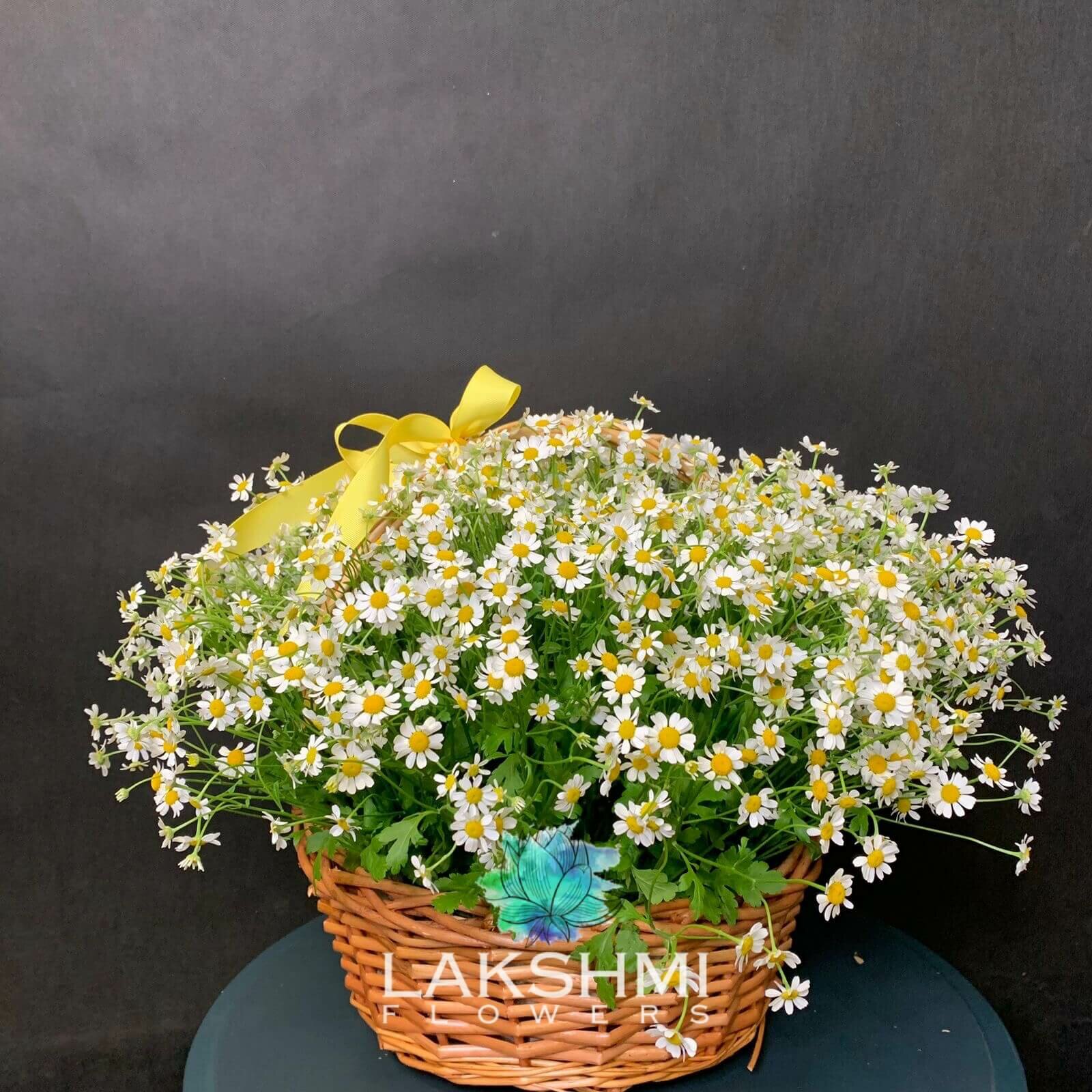 25 ромашек / Композиция из 25 кустовых ромашек в корзине с бантом