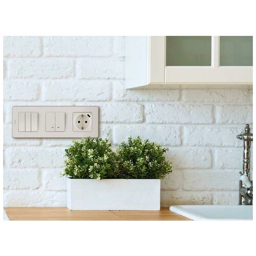 Inspiria (группа Legrand) Механизм розетки 1-м СП Inspiria 16А IP20 250В 2P+E немецк. стандарт со встроен. зарядным устройством USB C 1.5А 5В сл. кость Leg 673771