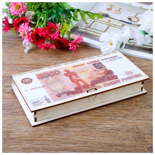 Lucky Купюрница 5000 цветная 17952 см 502₽