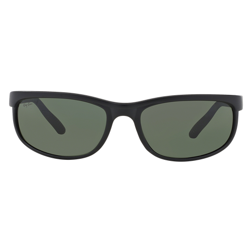 Очки Ray-Ban RB 2027 W1847 Predator