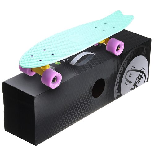 Пенни Борд Fish Skateboards 22