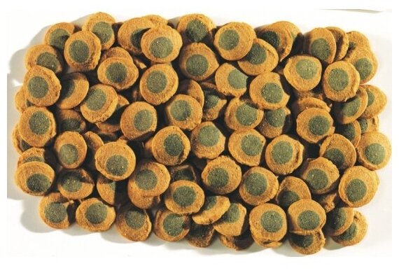 Корм для крупных растительноядных донных рыб TETRA Pleco Spirulina Wafers 15г - фотография № 4