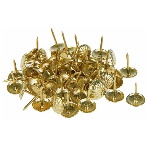 Гвозди декоративные, 16х11 мм, фактурные, цвет золото, в упаковке 100 шт.
