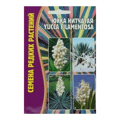 Семена Юкки Нитчатой (Yucca filamentosa) (15 семян)