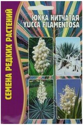 Семена Юкки Нитчатой (Yucca filamentosa) (15 семян)