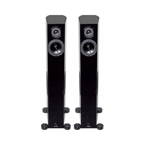 Напольная акустика Audio Physic Tempo 25 black ash 29600000₽