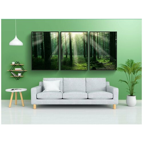 фото Набор модулных постеров для интерьера "лес, солнечный свет, деревья" 60x90 см. в тубусе, без рамки lotsprints