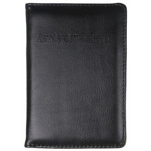 Обложка для автодокументов с файлами, ПВХ / 13.5х9.5 / черная