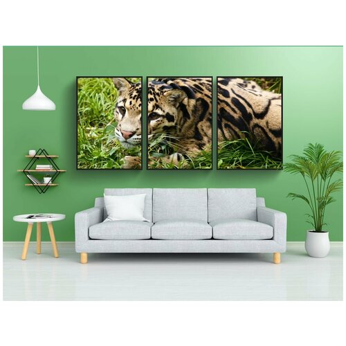 фото Набор модулных постеров для интерьера "животное, плотоядное животное, кошка" 60x90 см. в тубусе, без рамки lotsprints
