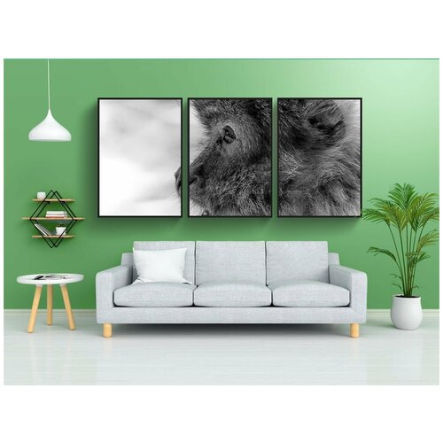 фото Набор модулных постеров для интерьера "варварская макака, угрожать видам, аффенберг salem" 60x90 см. в тубусе, без рамки lotsprints