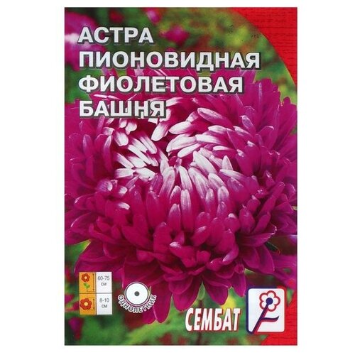 Сембат Семена цветов Астра пионовидная Фиолетовая Башня, 0.2 г