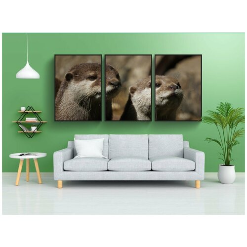 фото Набор модулных постеров для интерьера "выдра, зоопарк, животное" 60x90 см. в тубусе, без рамки lotsprints