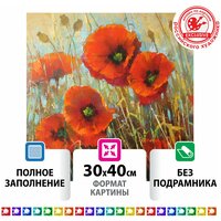 Картина стразами (алмазная мозаика) 30*40 см, остров сокровищ "Мачки", без подрамника, 662575