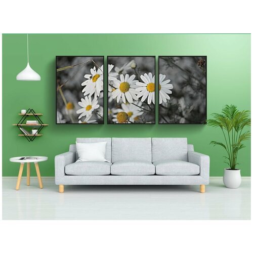 фото Набор модулных постеров для интерьера "ромашка, цветы ромашки, лекарственное растение" 60x90 см. в тубусе, без рамки lotsprints