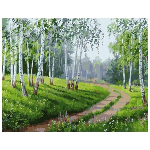 Картина по номерам RADUGA VA-1665 Дорога в берёзовом лесу 40х50см картина по номерам две картинки raduga грунтовая дорога через молодую березовую рощу