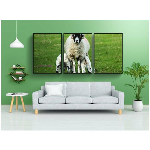 фото Набор модулных постеров для интерьера "сельское хозяйство, животное, сельская местность" 60x90 см. в тубусе, без рамки lotsprints