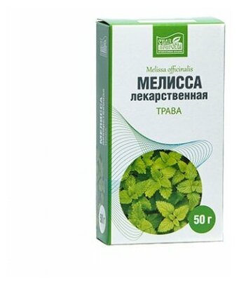 Мелисса трава 