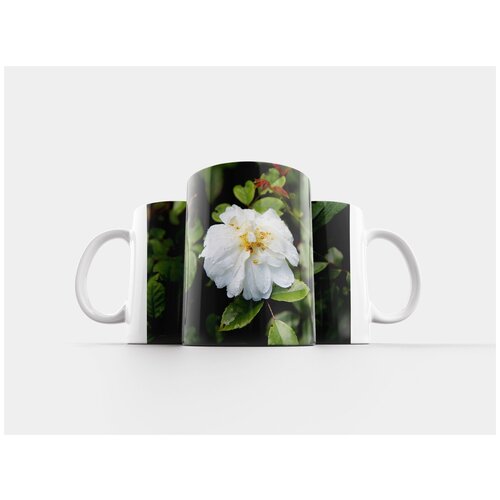 фото Кружка "куст старый, розовый куст, белая роза" 320 мл lotsprints