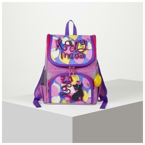 Рюкзак школьный, отдел на молнии, наружный карман, 2 боковых кармана, цвет фиолетовый Сакси 5111378 .