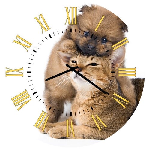 фото Svs настенные часы svs 3502083 песик и кот