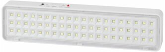 Светильник светодиодный DBA-103-0-20 60LED 5ч IP20 аварийный непостоянный Эра Б0044396