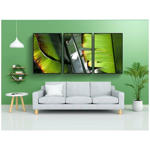 фото Набор модулных постеров для интерьера "банановые листья, завод, зеленый" 60x90 см. в тубусе, без рамки lotsprints