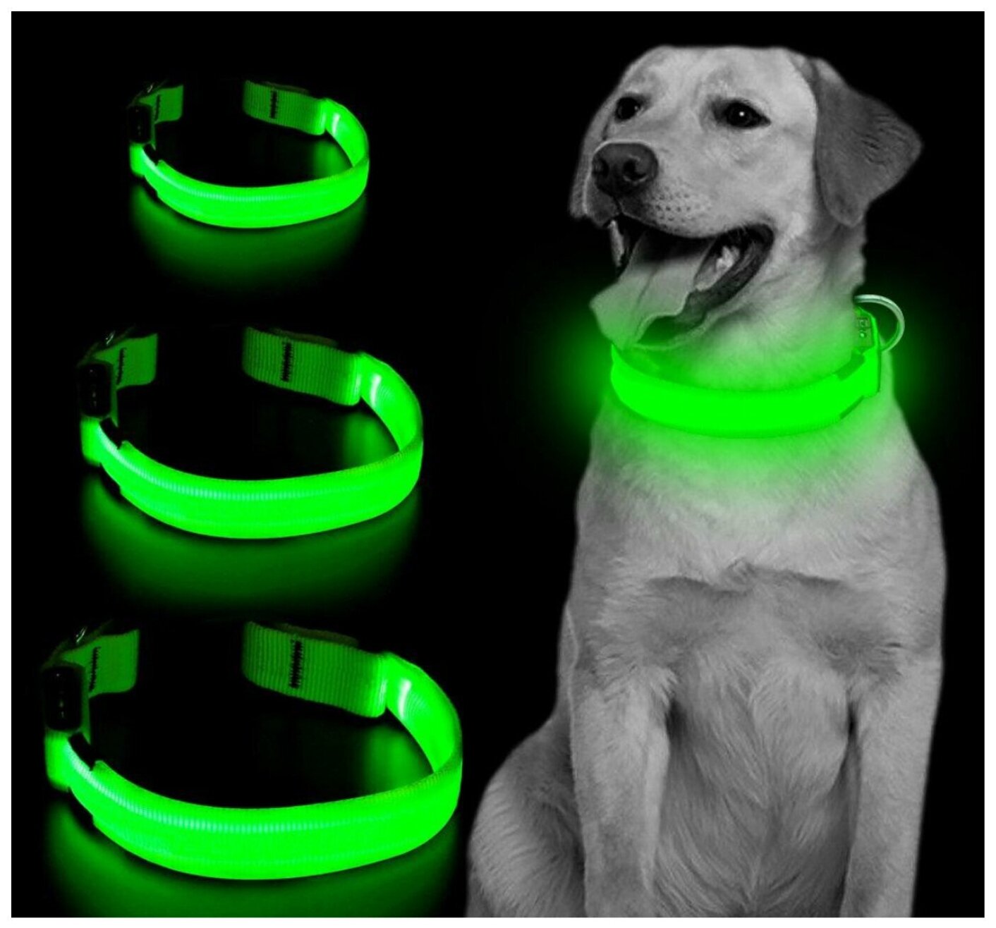 Ошейник для животных Poco case Прогулочный Светящийся на батарейках, светодиодный LED, размер S, 25-33 см - фотография № 4